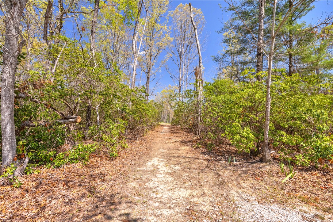 386 N Little River Road, Salem, South Carolina image 40