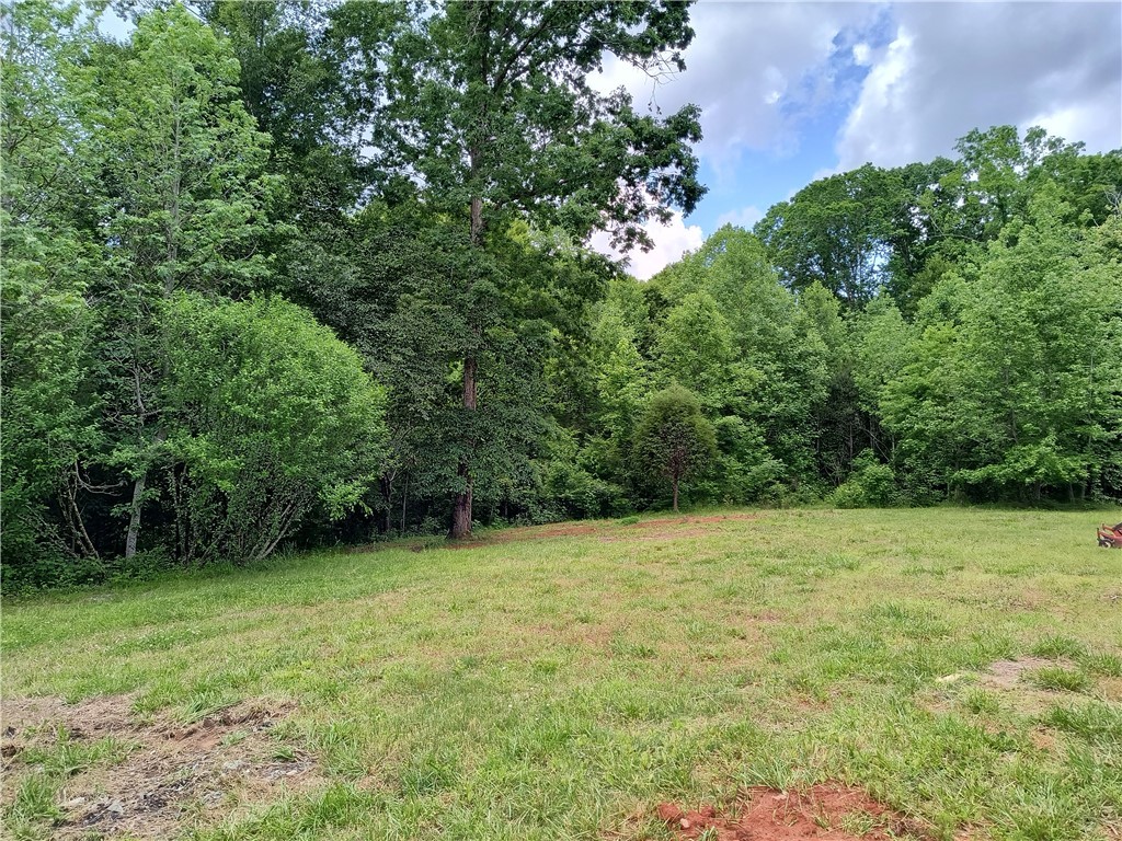160 Sweetbriar Trail, Westminster, South Carolina image 10