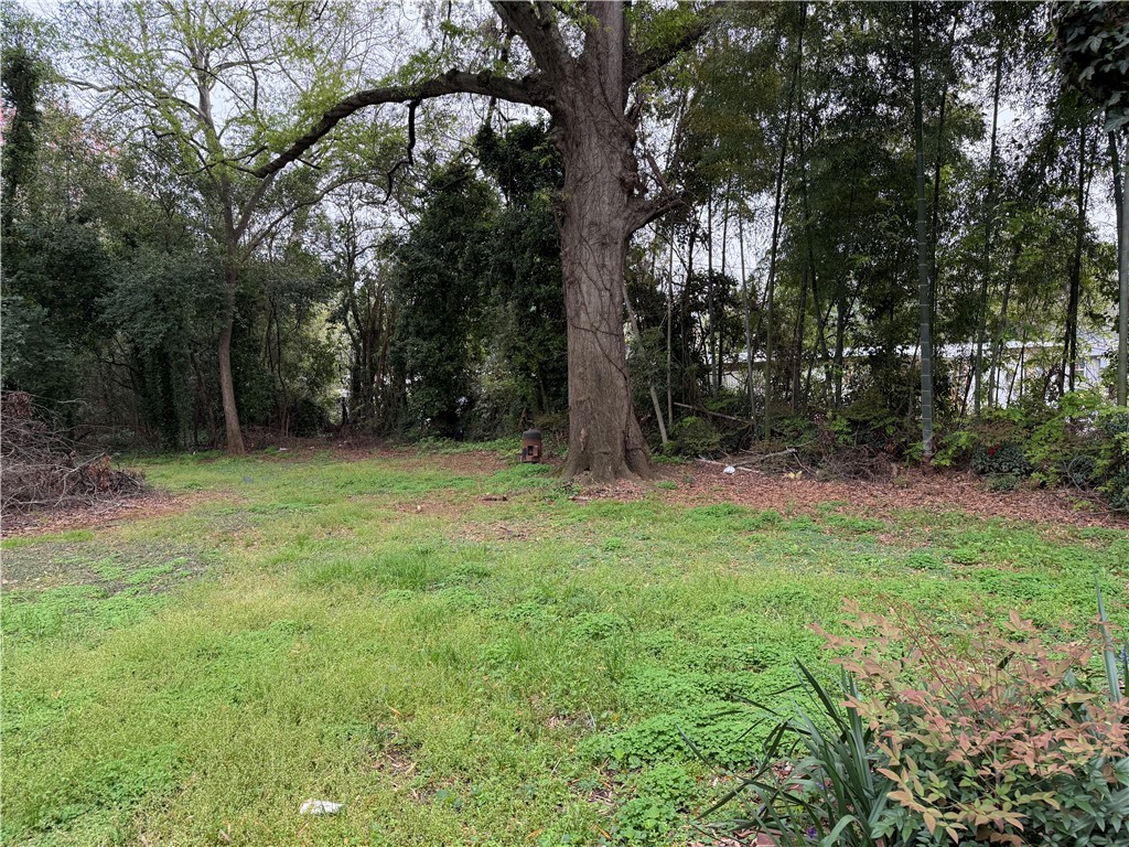 2303 S Mcduffie Street, Anderson, South Carolina image 8