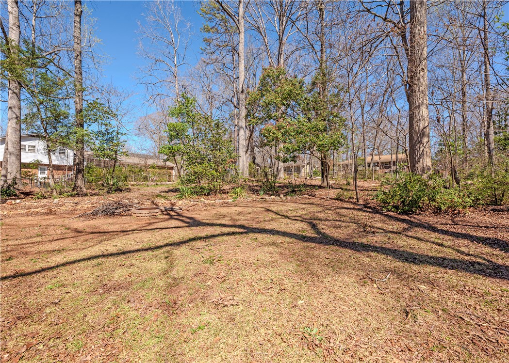 309 Wellington Way, Central, South Carolina image 4