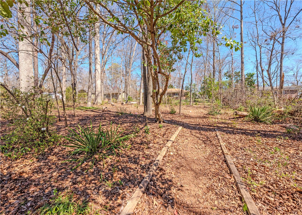 309 Wellington Way, Central, South Carolina image 5