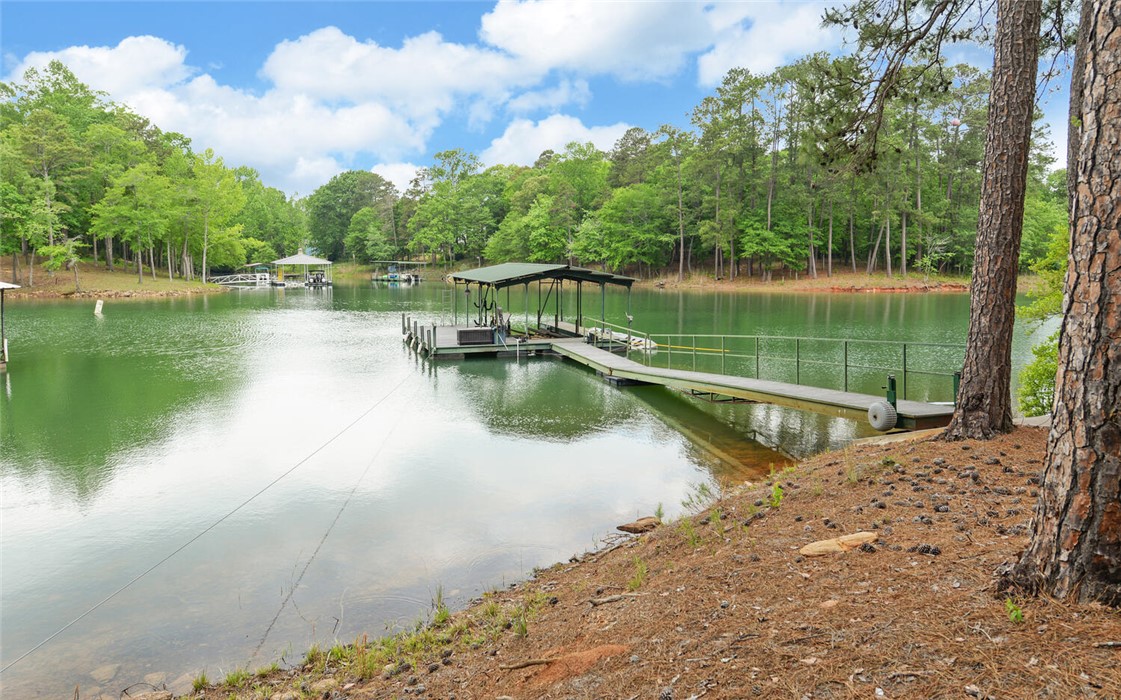87 Idlewood Lane, Hartwell, Georgia image 40