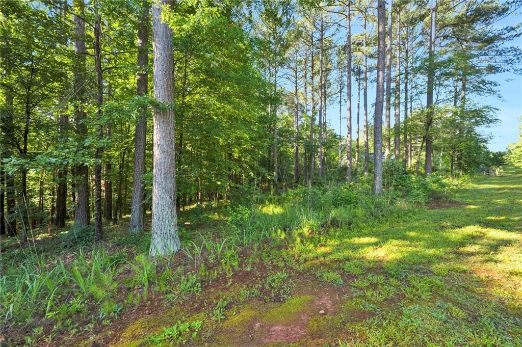 308 Longwood Drive, Seneca, South Carolina image 9