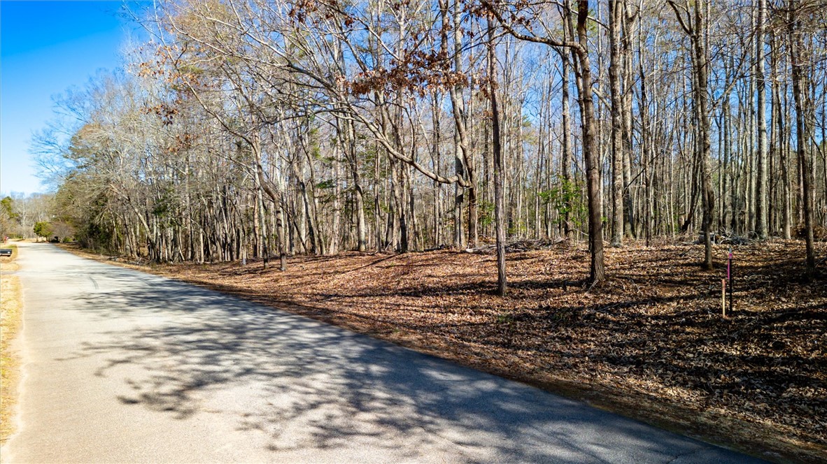 Lot 1 Broken Arrow Drive, Pelzer, South Carolina image 4