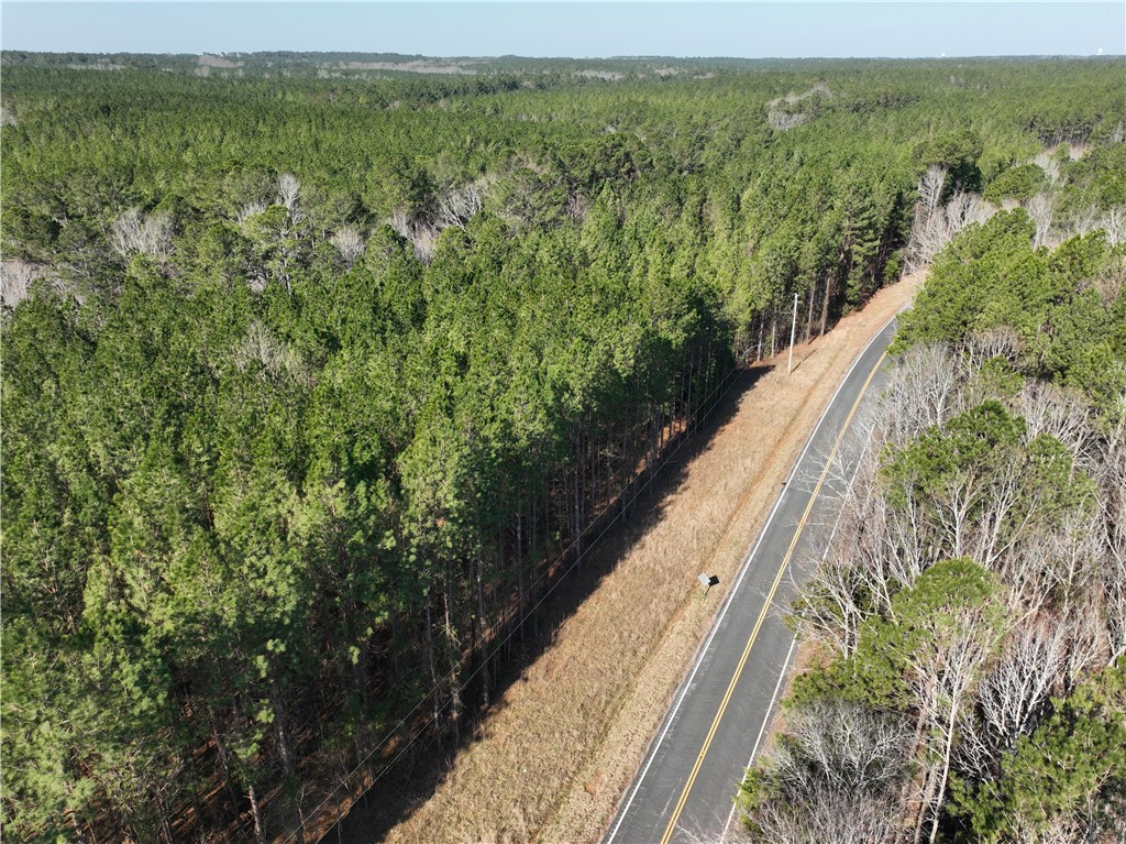 2301 Whitetown Road, Plum Branch, South Carolina image 14