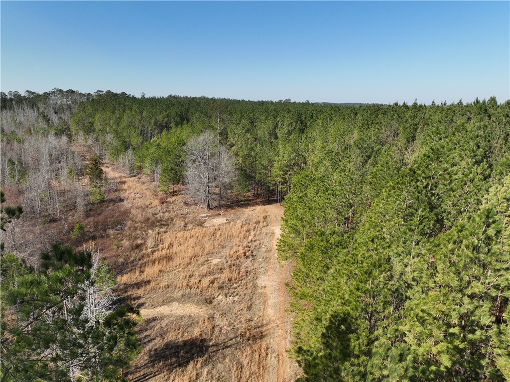 2301 Whitetown Road, Plum Branch, South Carolina image 17