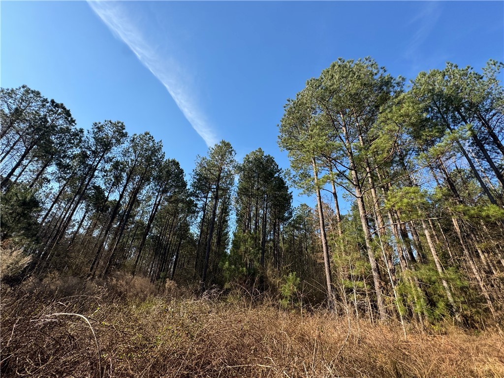 2301 Whitetown Road, Plum Branch, South Carolina image 22