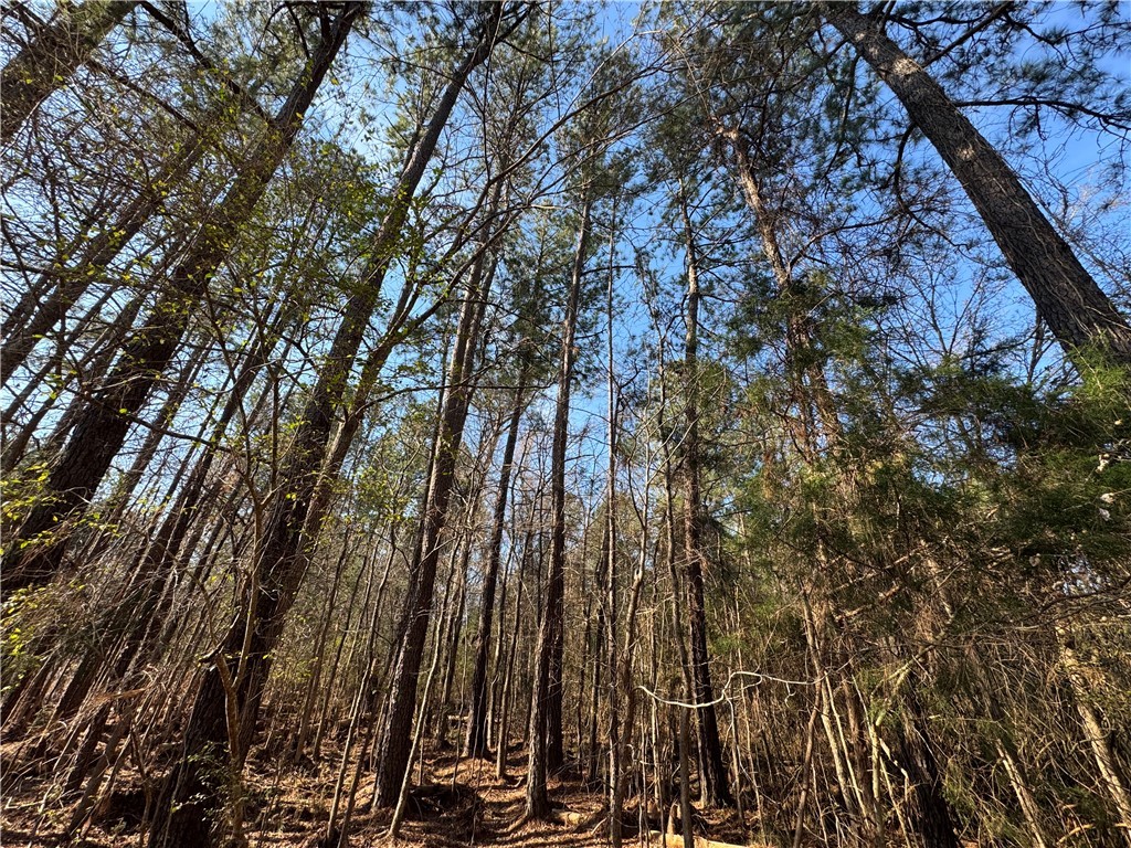 2301 Whitetown Road, Plum Branch, South Carolina image 21