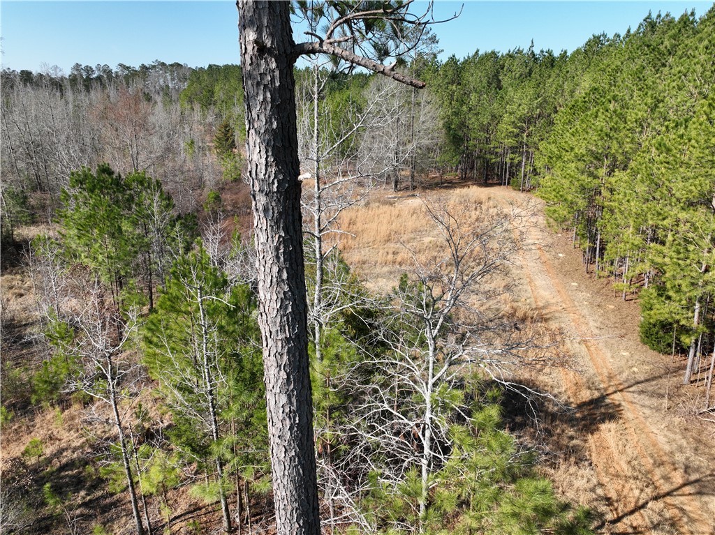 2301 Whitetown Road, Plum Branch, South Carolina image 20
