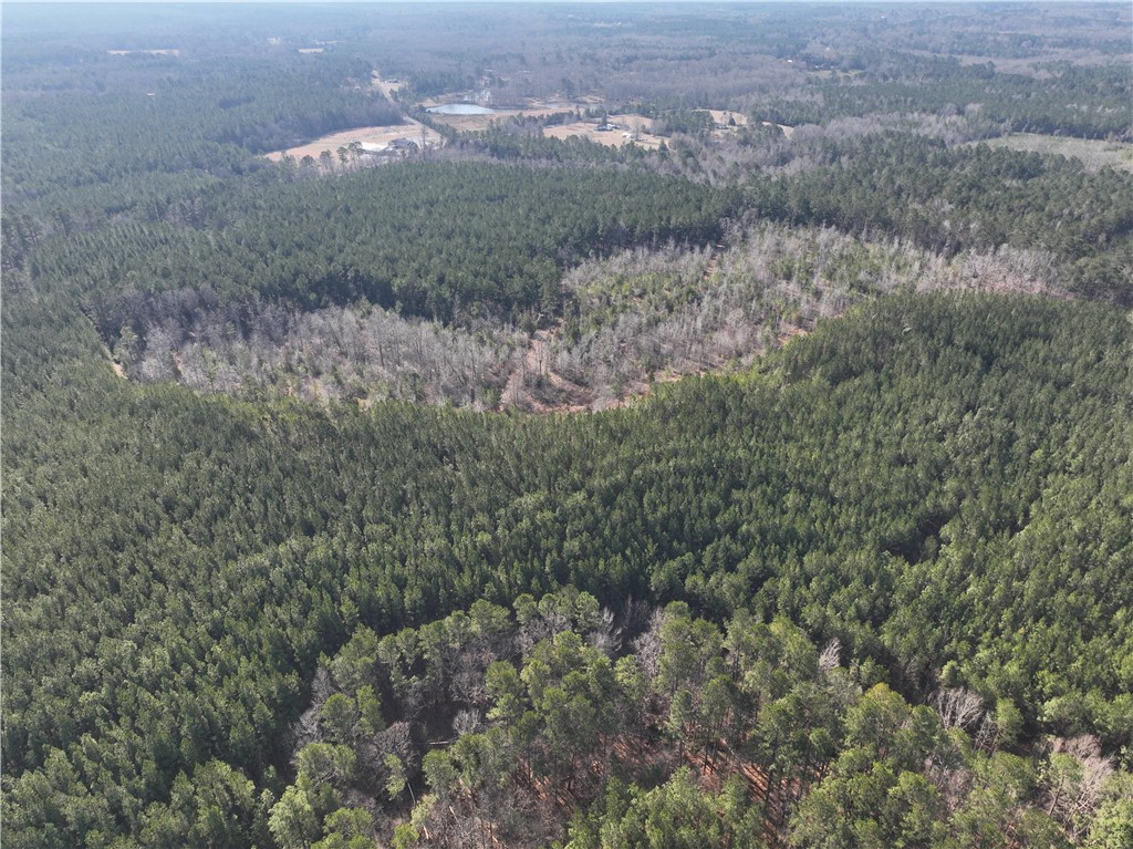 2301 Whitetown Road, Plum Branch, South Carolina image 9
