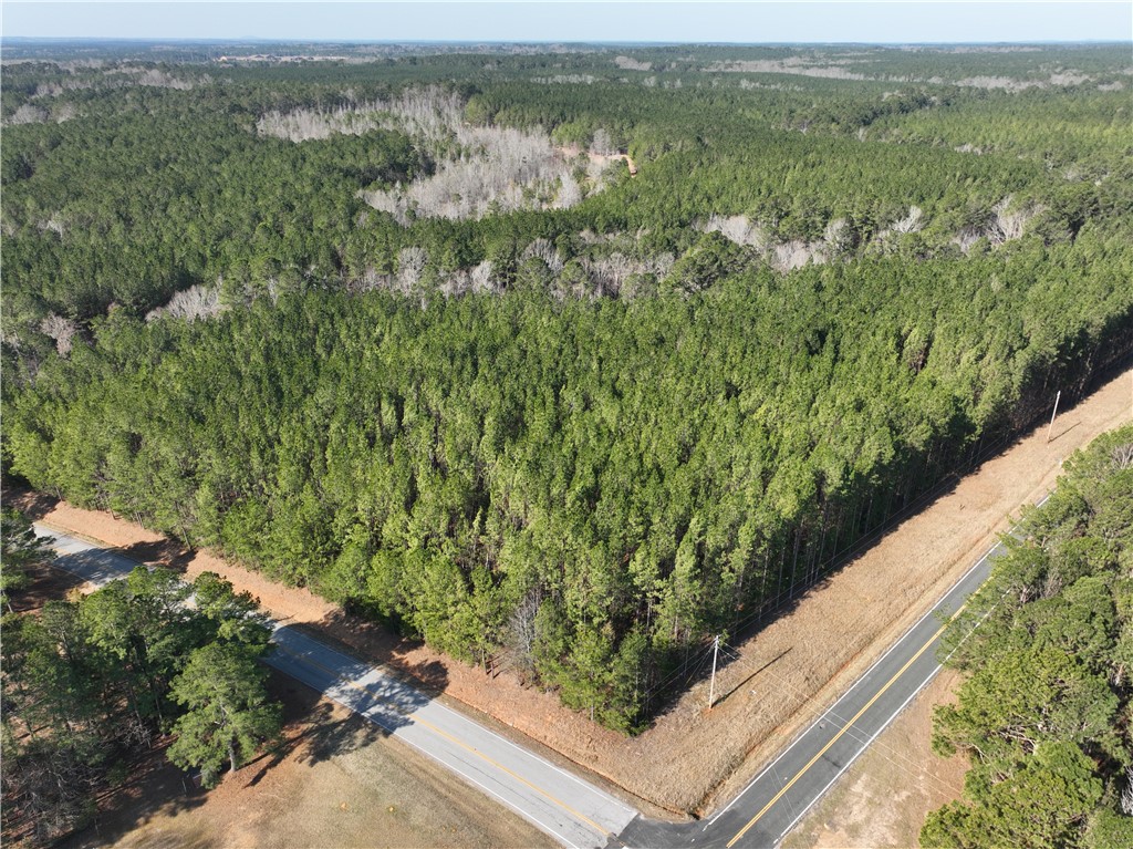 2301 Whitetown Road, Plum Branch, South Carolina image 13