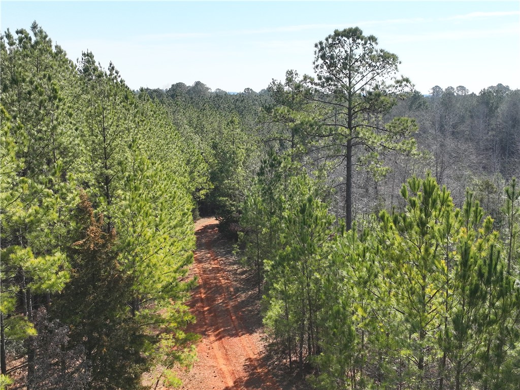 2301 Whitetown Road, Plum Branch, South Carolina image 6