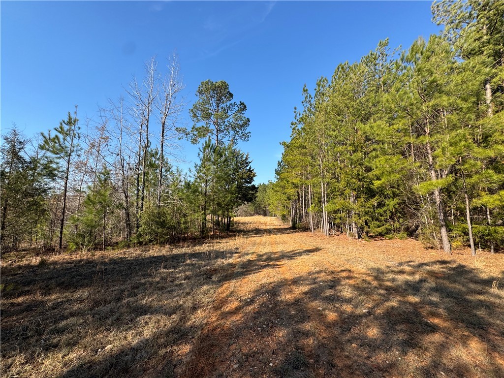 2301 Whitetown Road, Plum Branch, South Carolina image 24