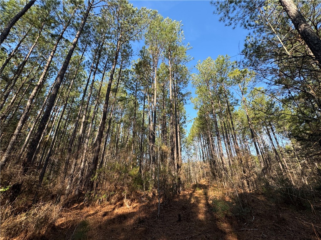 2301 Whitetown Road, Plum Branch, South Carolina image 23