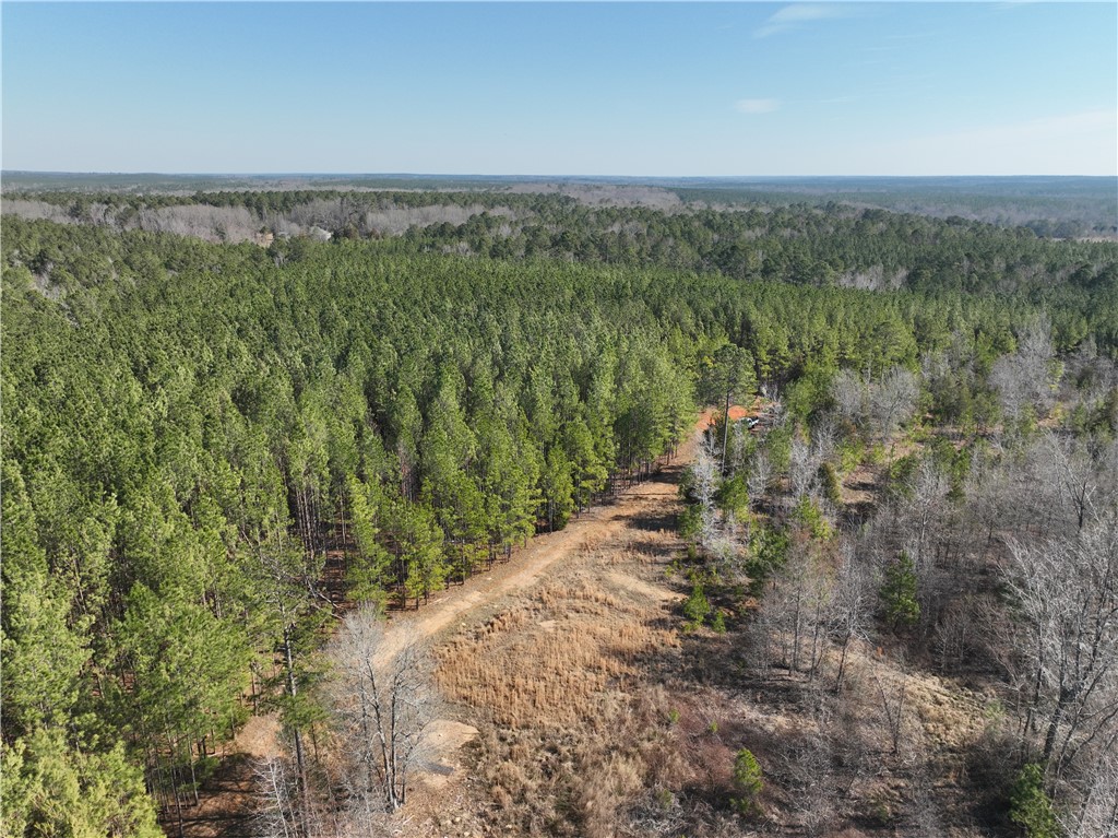2301 Whitetown Road, Plum Branch, South Carolina image 19