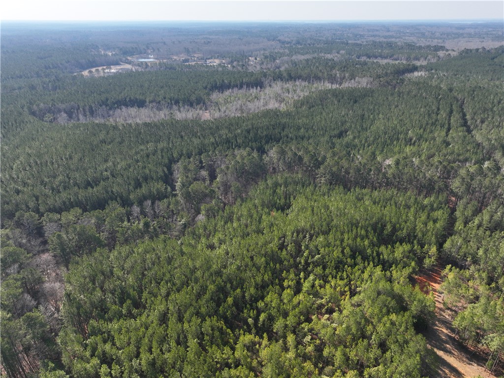 2301 Whitetown Road, Plum Branch, South Carolina image 10