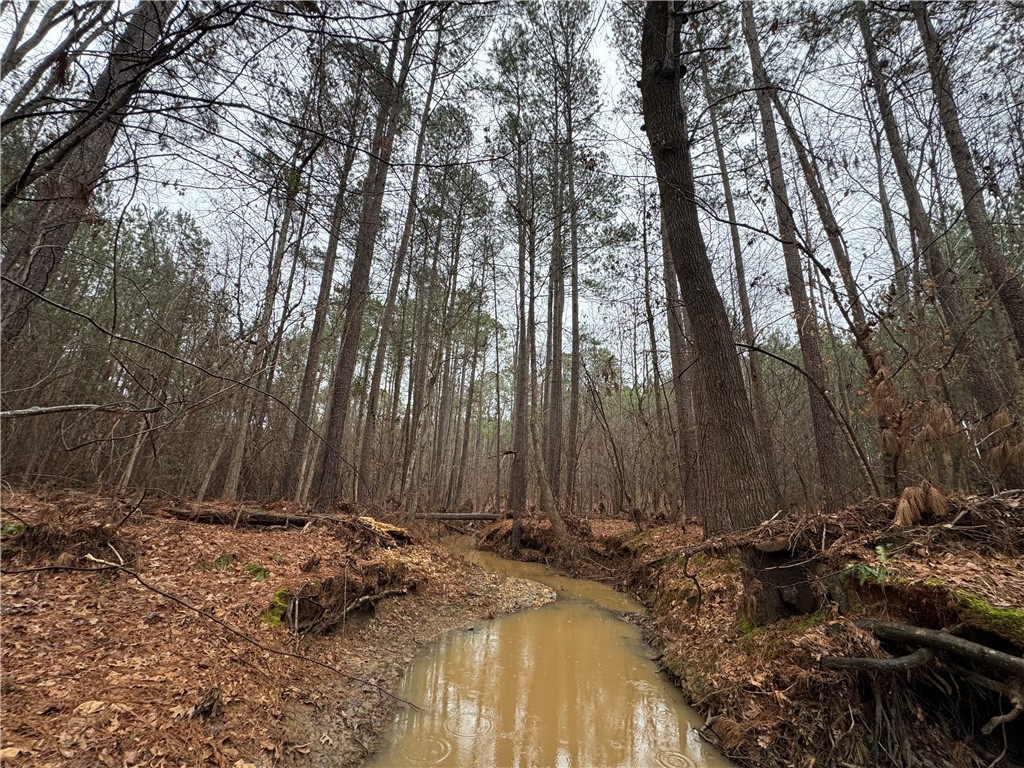 2301 Whitetown Road, Plum Branch, South Carolina image 3