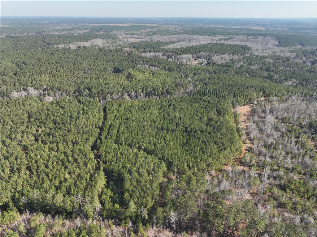 2301 Whitetown Road, Plum Branch, South Carolina image 8