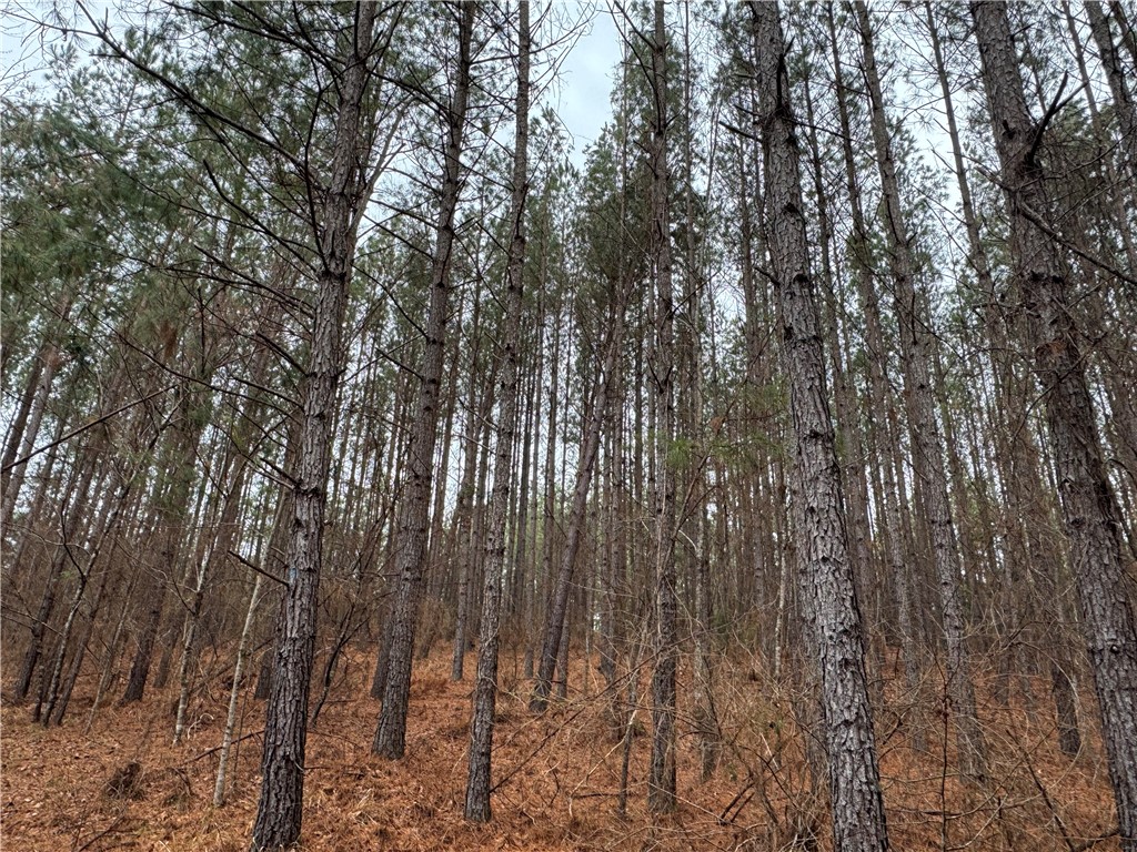 2301 Whitetown Road, Plum Branch, South Carolina image 2