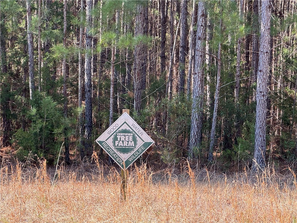 2301 Whitetown Road, Plum Branch, South Carolina image 25