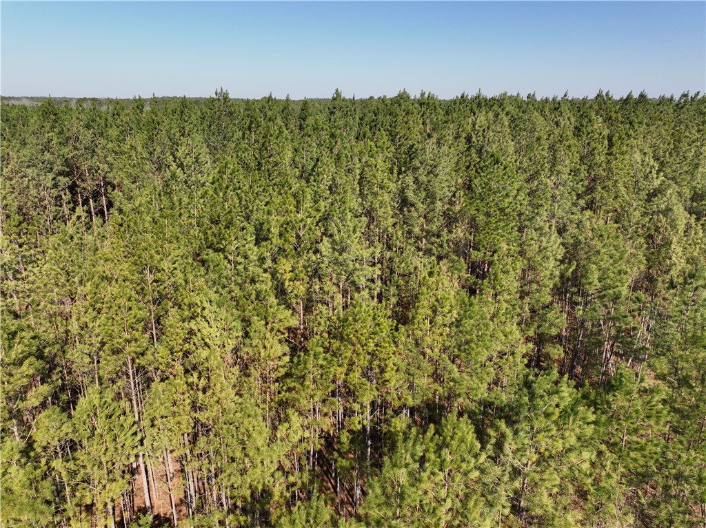 2301 Whitetown Road, Plum Branch, South Carolina image 18