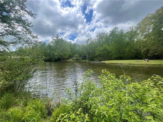 31 A BONNER ROAD, MOUNTAIN REST, SC 29664 - Image c6d643c4d9da2cc5eaffb2d2fd685ac3/3958495037