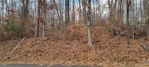 Vacant Land For Sale - 314 E Richfield Drive<br/> Westminster, SC 29693