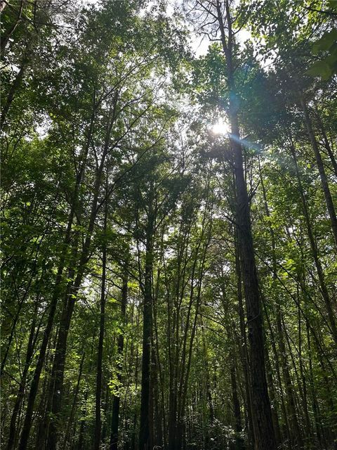 Vacant Land For Sale - 209 Gale Drive<br/> Pelzer, SC 29669