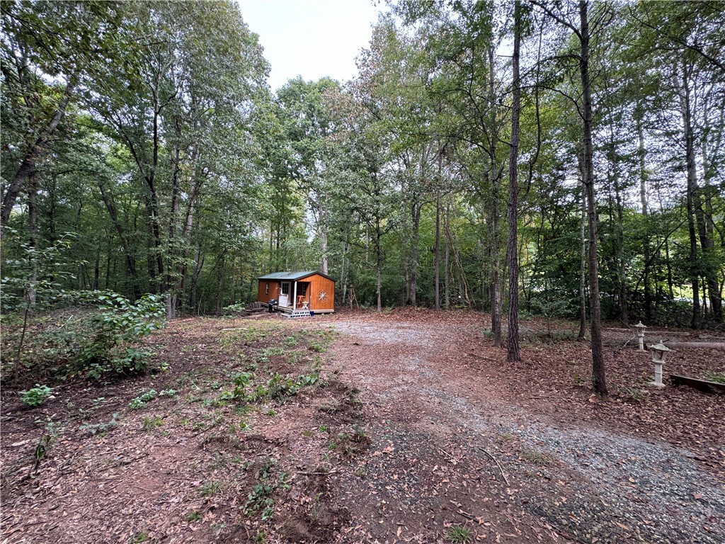 164 Madison Shores Drive, Westminster, South Carolina image 8