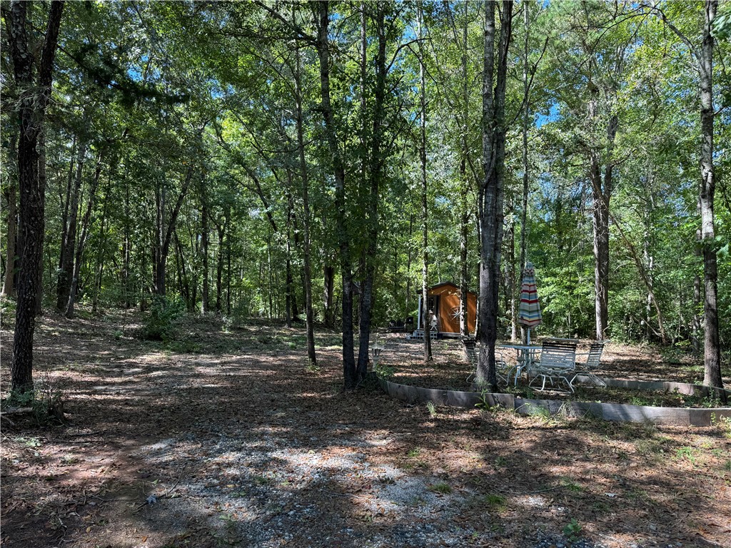 164 Madison Shores Drive, Westminster, South Carolina image 9