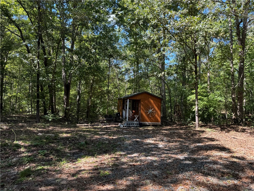 164 Madison Shores Drive, Westminster, South Carolina image 16