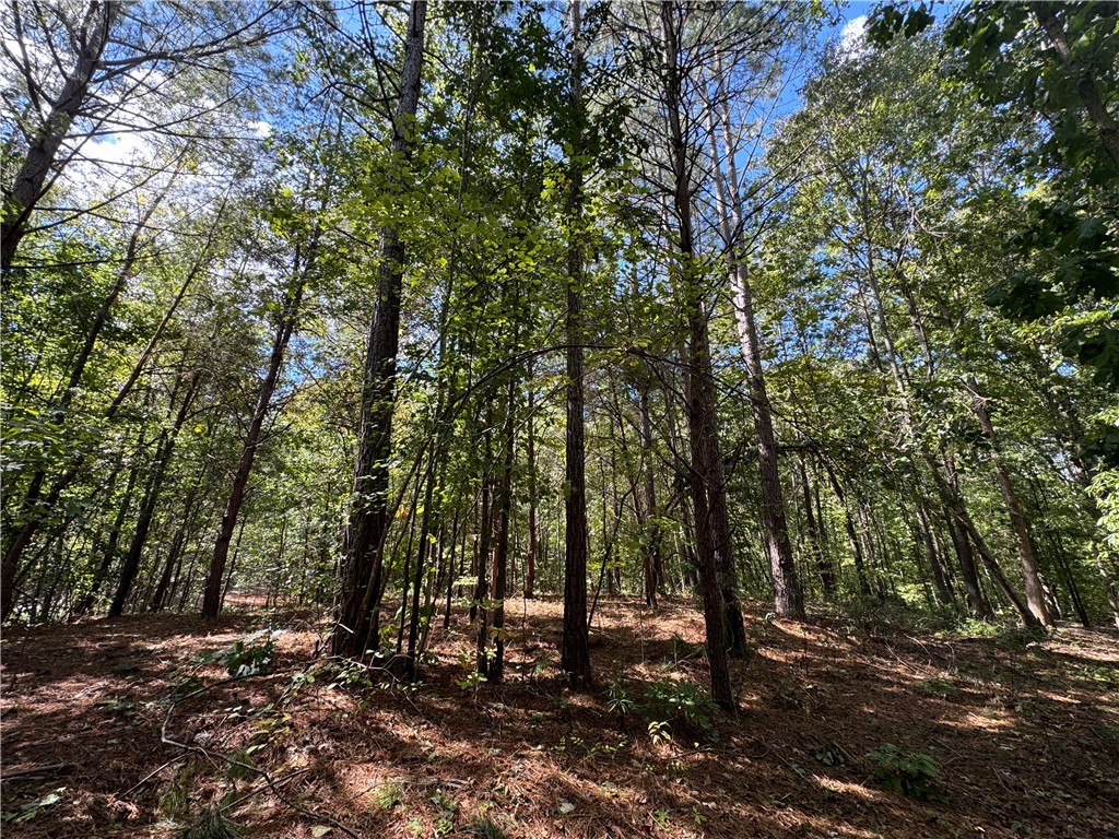 164 Madison Shores Drive, Westminster, South Carolina image 10