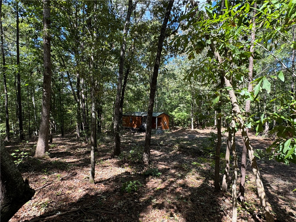 164 Madison Shores Drive, Westminster, South Carolina image 11