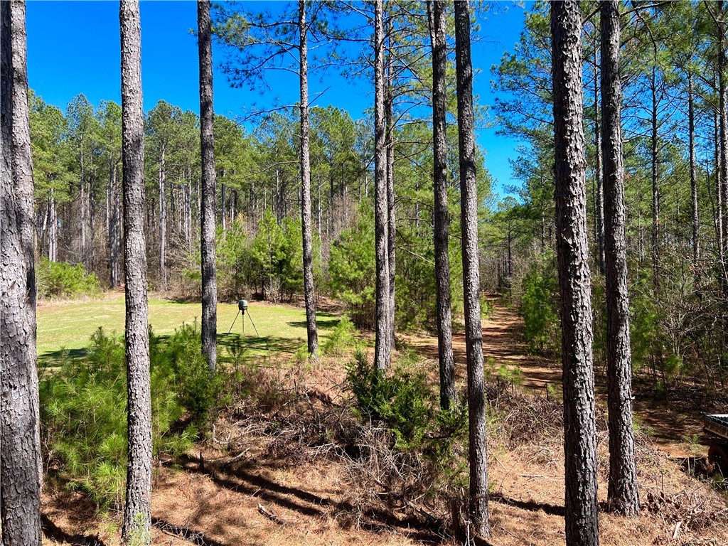 00 Sarah Simpson Road, Iva, South Carolina image 9