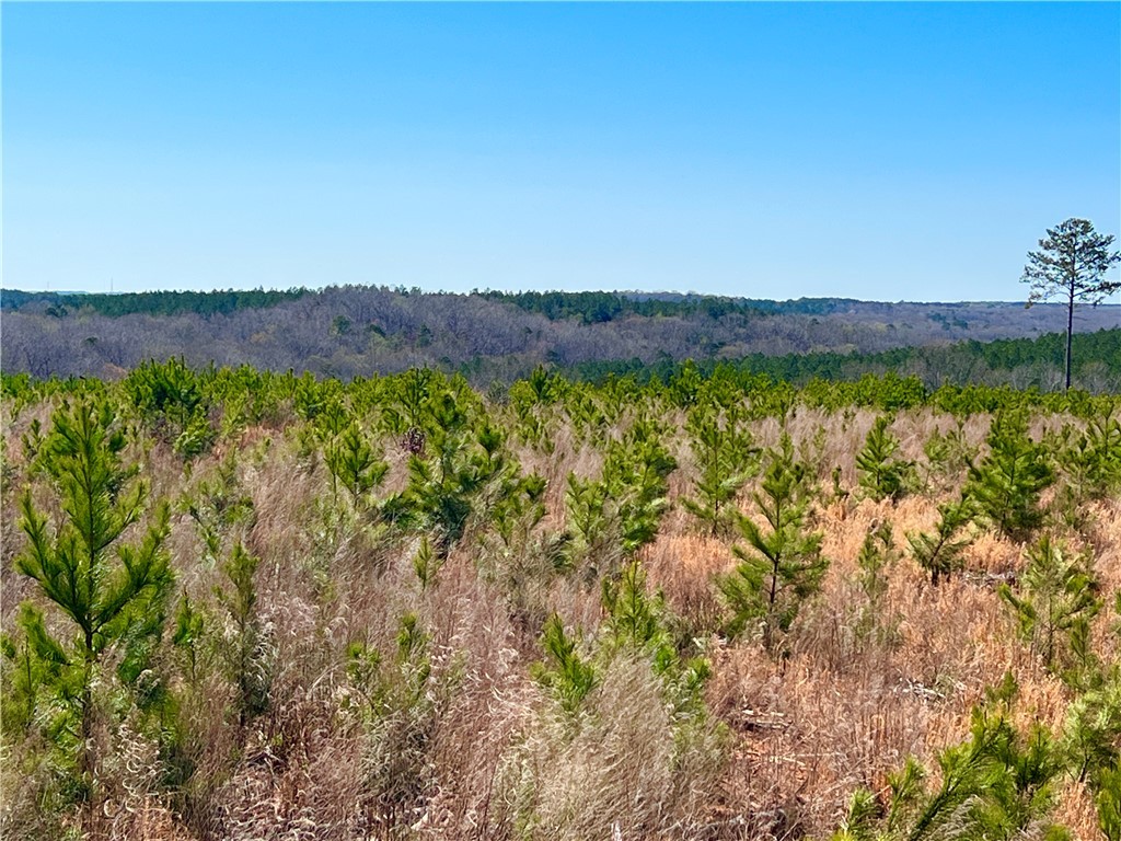 00 Sarah Simpson Road, Iva, South Carolina image 23