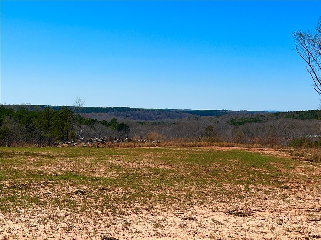 00 Sarah Simpson Road, Iva, South Carolina image 32