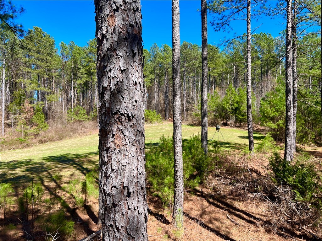 00 Sarah Simpson Road, Iva, South Carolina image 7
