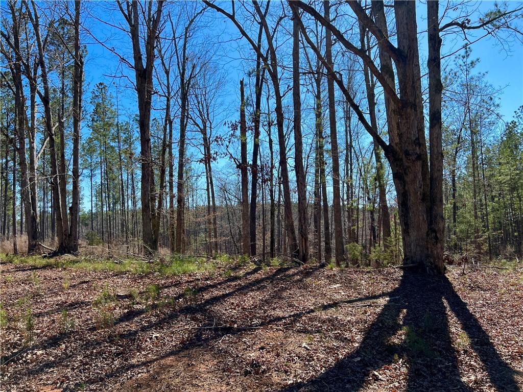 00 Sarah Simpson Road, Iva, South Carolina image 31