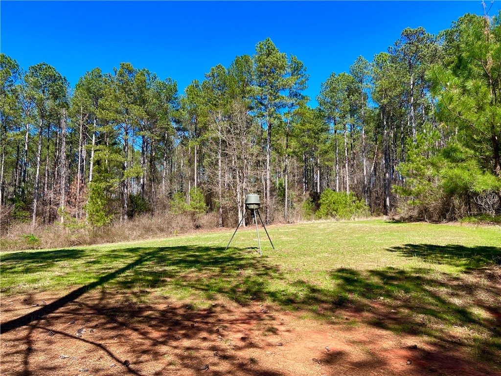 00 Sarah Simpson Road, Iva, South Carolina image 6
