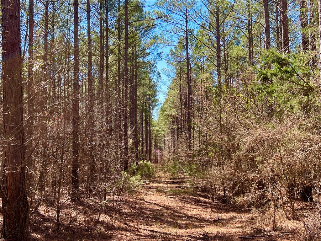 00 Sarah Simpson Road, Iva, South Carolina image 27