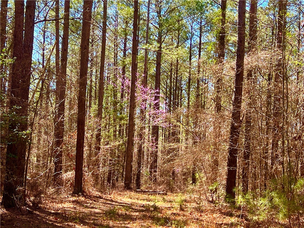 00 Sarah Simpson Road, Iva, South Carolina image 13