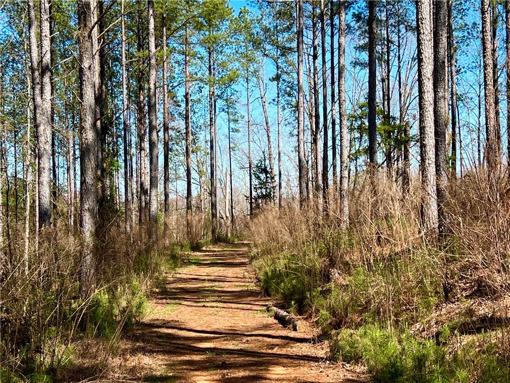 00 Sarah Simpson Road, Iva, South Carolina image 11