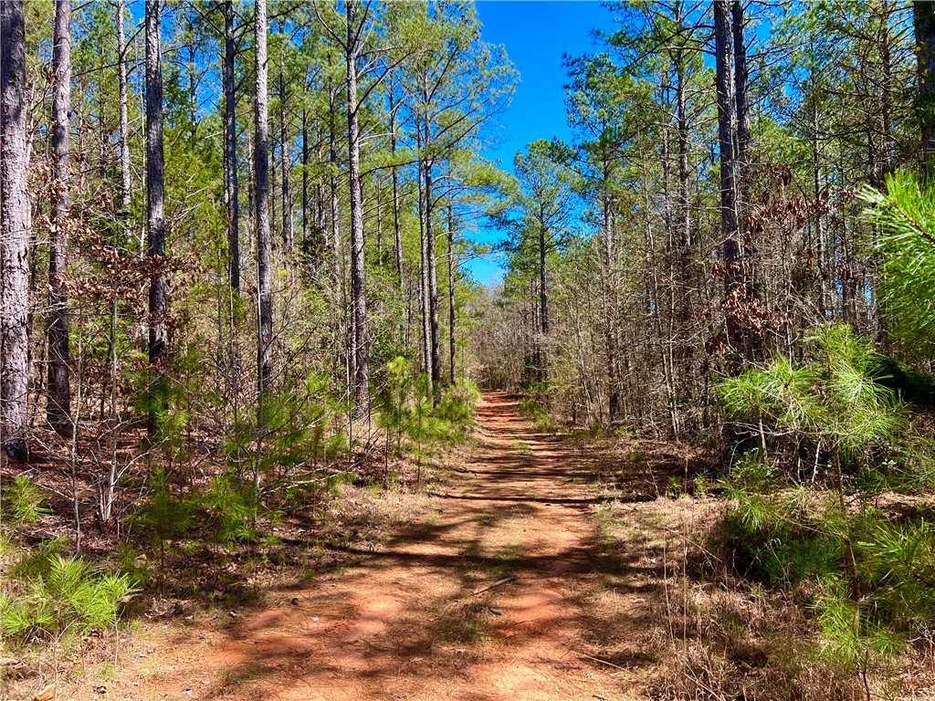 00 Sarah Simpson Road, Iva, South Carolina image 20
