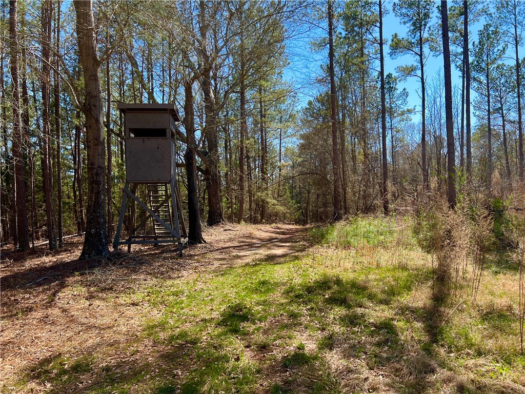 00 Sarah Simpson Road, Iva, South Carolina image 5