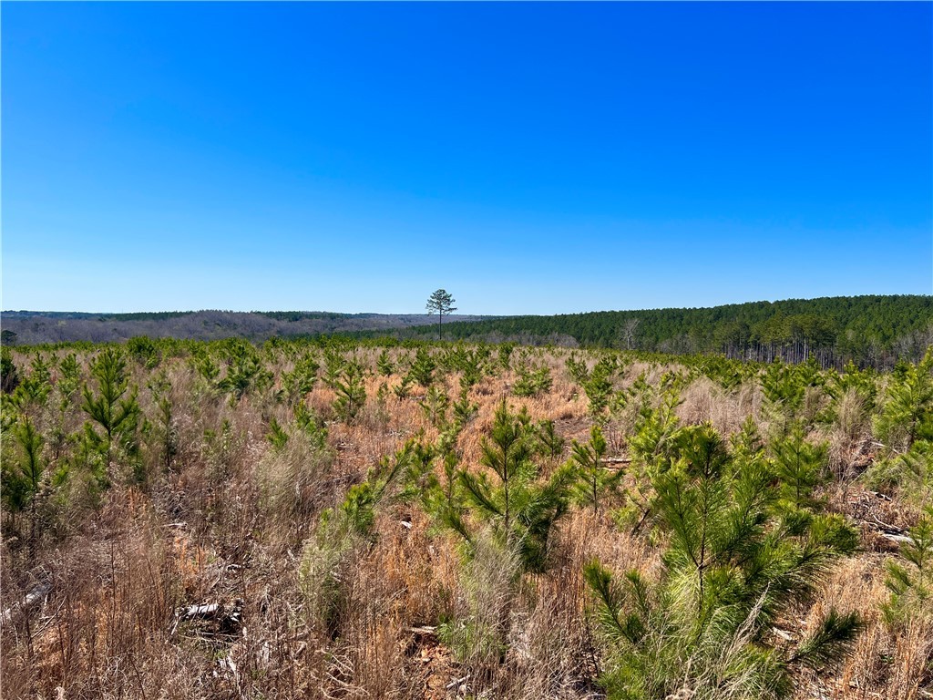 00 Sarah Simpson Road, Iva, South Carolina image 33