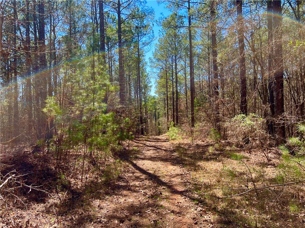00 Sarah Simpson Road, Iva, South Carolina image 26