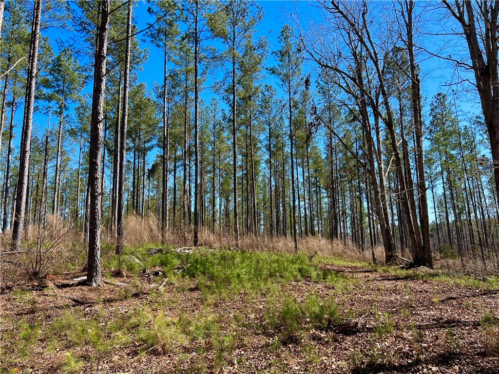 00 Sarah Simpson Road, Iva, South Carolina image 28