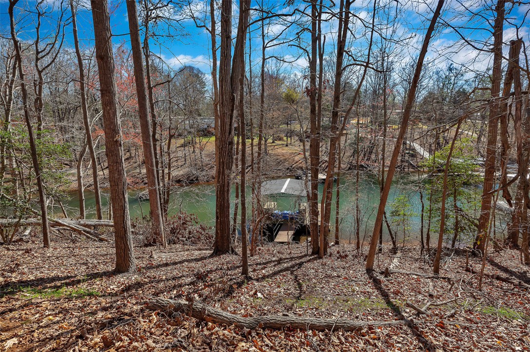 00 Perry Circle #LOTS 23  24, Townville, South Carolina image 1