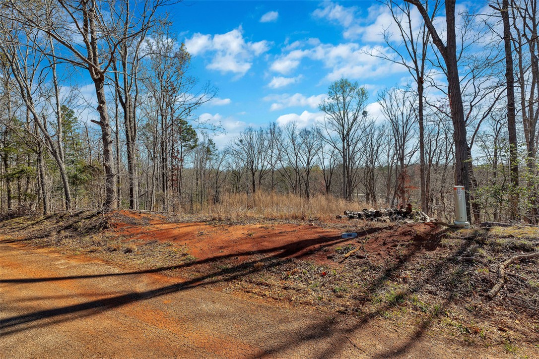00 Perry Circle #LOTS 23  24, Townville, South Carolina image 7