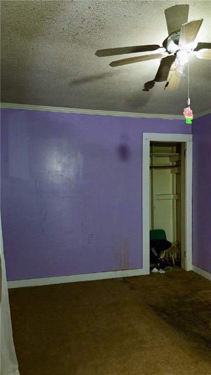 502 Mcalister Road, Williamston, South Carolina image 23